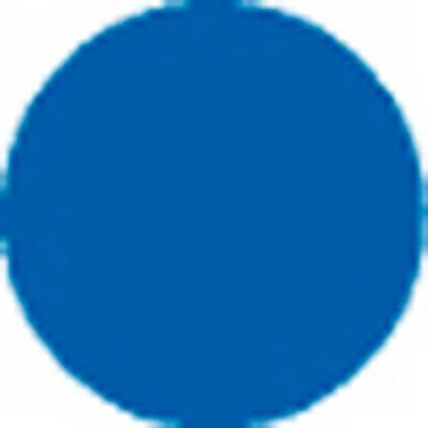 T.E.R., Blue Button Insert, Use w/ MIKE & VICTOR Pendants, Springer Controls Co, Mfr#: PRTA094MPI